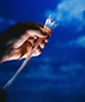 http://www.phoenixphotonics.com/company/54241_s.jpg